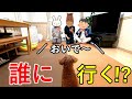 4ヶ月ぶりに大好きなジィジ、パパ、ママがおいで！と言ったら犬は誰に行くか？【トイプードル】