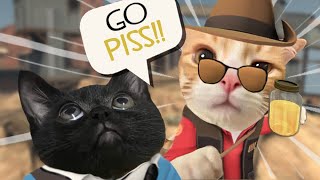 TF2 Pub Randomness