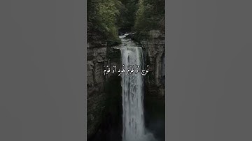 واتس اب قران كريم القارئ ياسر دوسري (سوره هود)