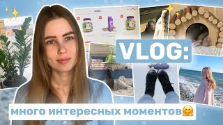 VLOG: ЗАКАЗЫВАЮ ВКУСНЯШКИ КРЫСАМ | ПОКАЗЫВАЮ КРЫС | КАТАЕМСЯ НА ВАТРУШКАХ | МОМЕНТЫ ИЗ СОЧИ