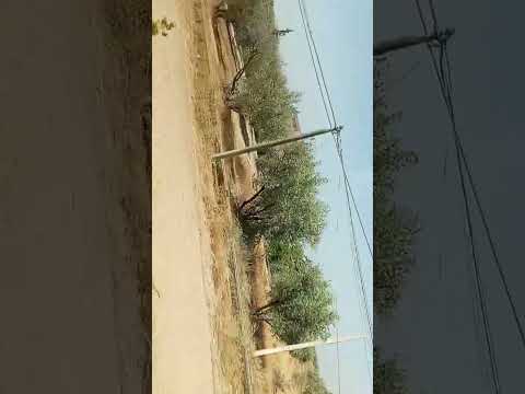 ابلور    الطبيعة الطريق بني ملال العطلة العطلة الصيفية