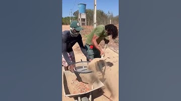 Outrageous Oops The Ultimate Fail Compilation! 14 #unexpectedfails #excavator