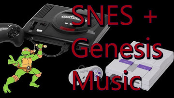 Turtles in Time Alley Cat Blues Remix