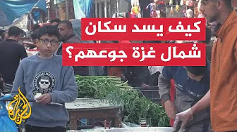 مراسل الجزيرة: المواطنون في شمال غزة يعتمدون على نبات الخبيزة لسد الجوع