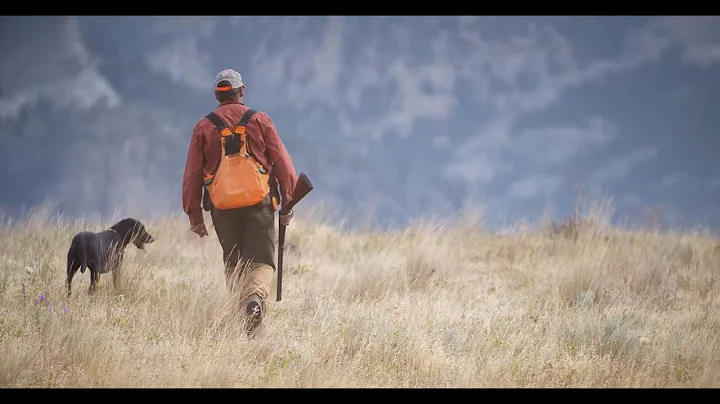 ORVIS Presents: UPLANDER - An Upland Hunting Love Story.