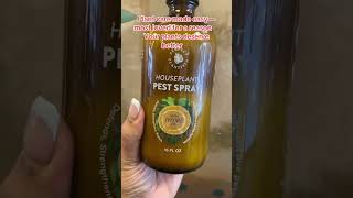 #planttok #houseplanttok #plantcare #plantparent #houseplants #plantlover #planttips #pestcontrol