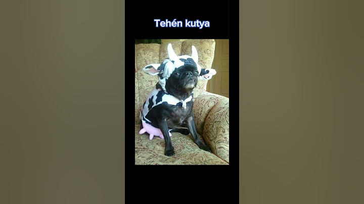 Legyen part5?😂👌