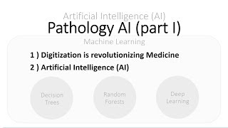 Pathology AI - Part I