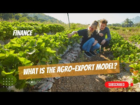 Agro-eksportørmodel 👌 : Hvad er agroeksportmodellen, årsager og konsekvenser 🔥 #Finans