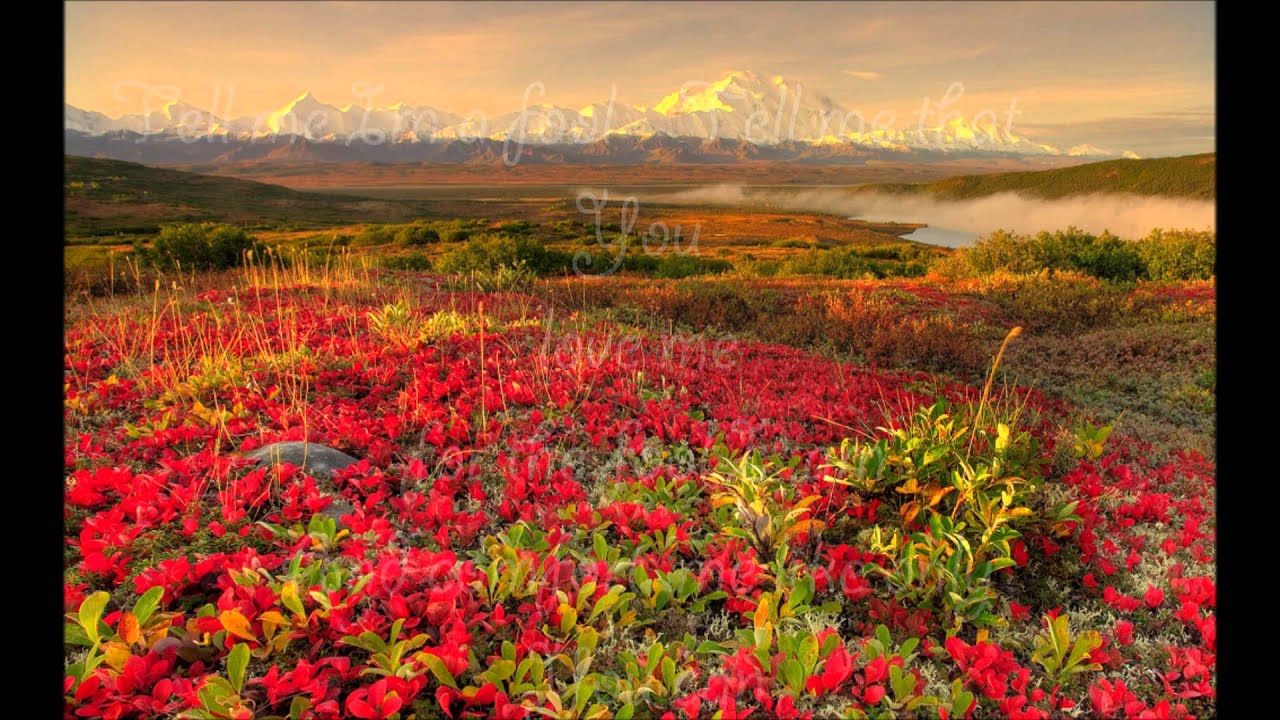 Mindy Gledhill I Will Rest In You Lyrics YouTube