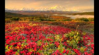 Mindy Gledhill - I Will Rest In You Lyrics