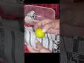 Method of saving lemon in several days #shorts#youtube shorts