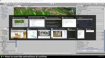 083 The Animator Override Controller