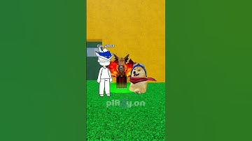 when doge meet admin in blox fruits 🗿 #roblox #robloxfruit #robloxanimation #bloxfruits