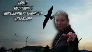 Новая Астраханская достопримечательность! Самое позитивное место Астрахани!