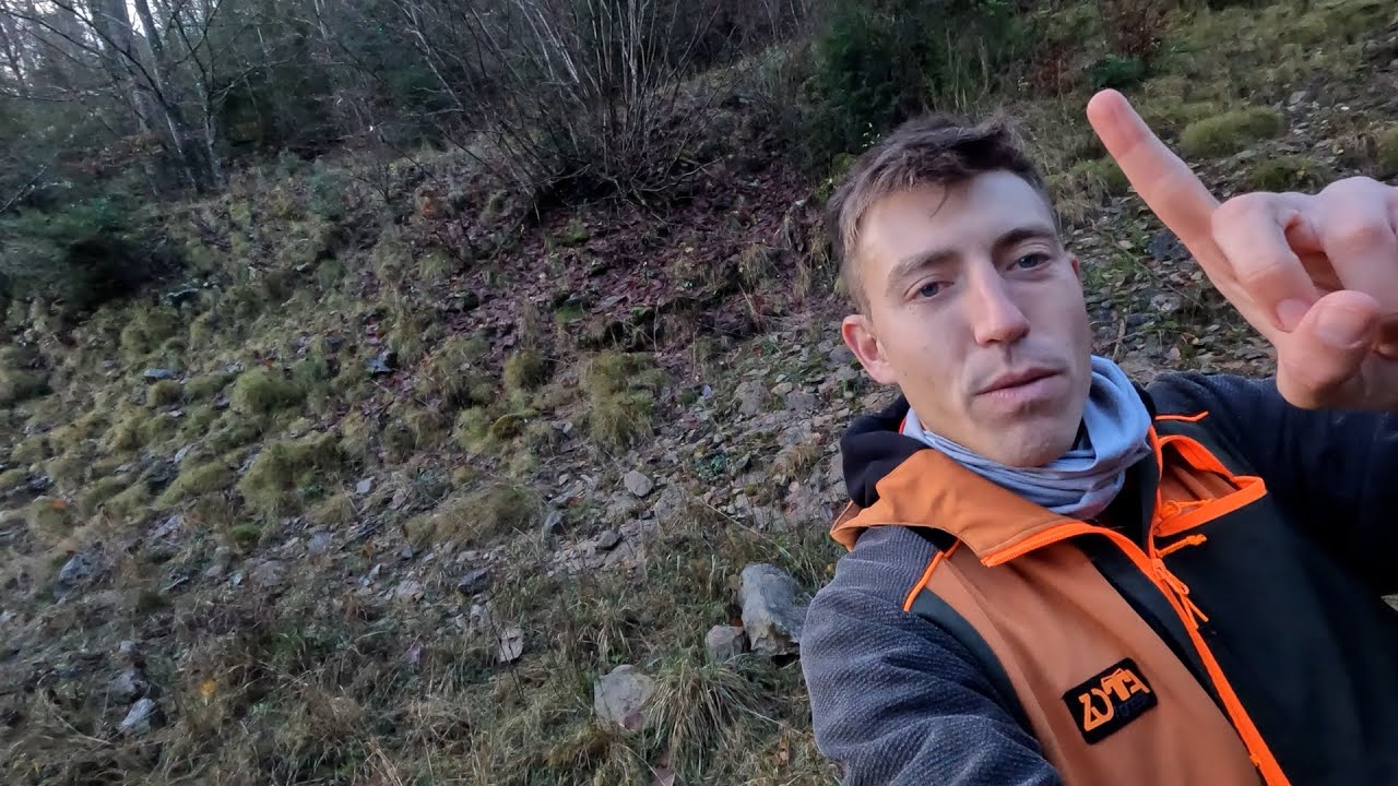 Becadas de Octubre/Bécasses d'octobre