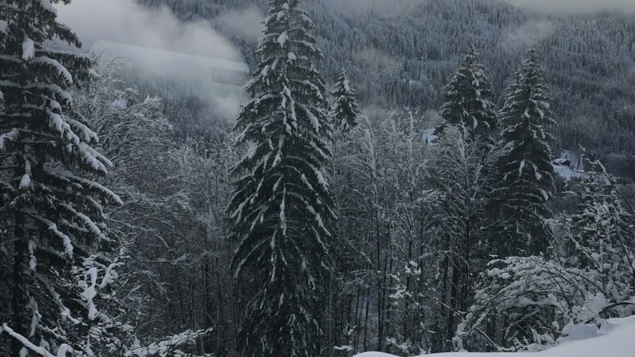 Peace Lord. Copyright: Nante Diedericks.