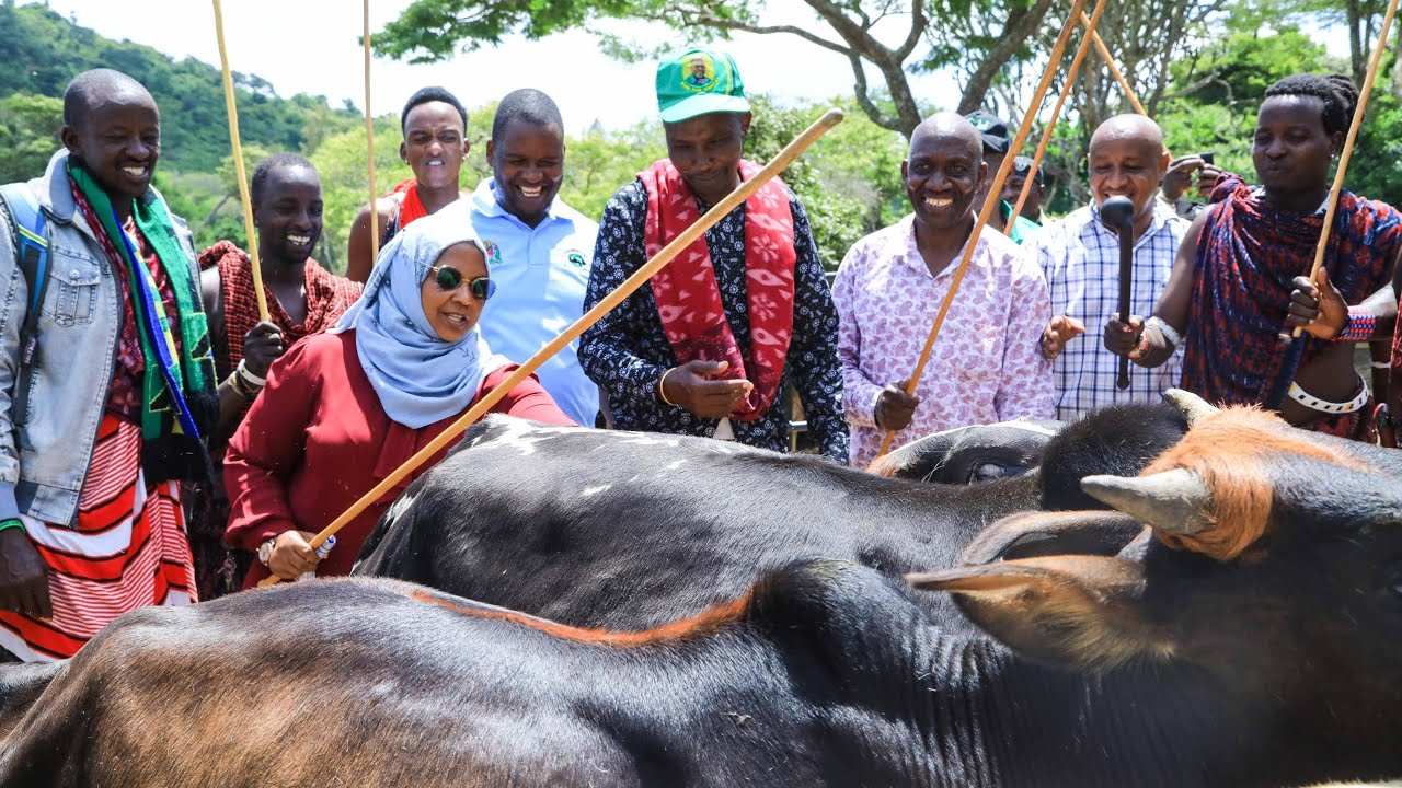 Dkt. Kijaji aanika mikakati ya mapinduzi ya sekta ya Mifugo nchini!