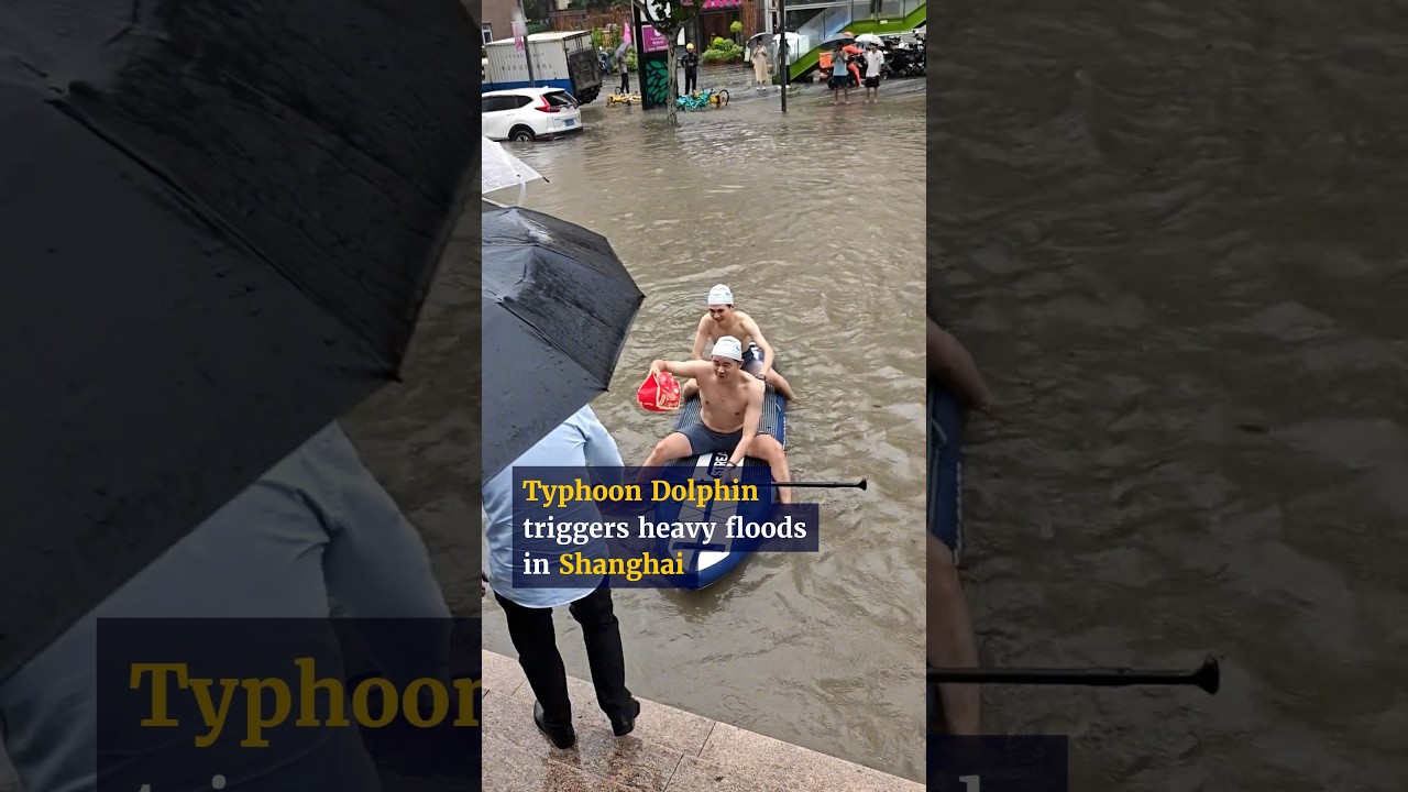 Typhoon Dolphin brings heavy rain and widespread flooding to Shanghai