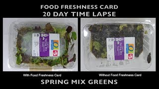Spring Mix Greens 20 Day Laboratory Time Lapse Video with Food Freshness Card
