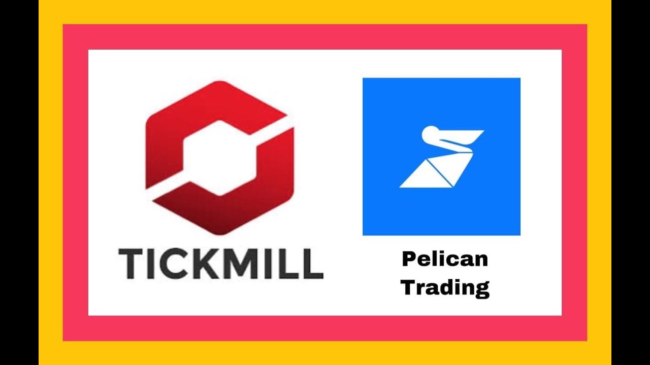 Review Tickmill and Pelican Copytrading - YouTube