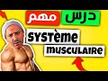 Le systme musculaire 3me anne collge  