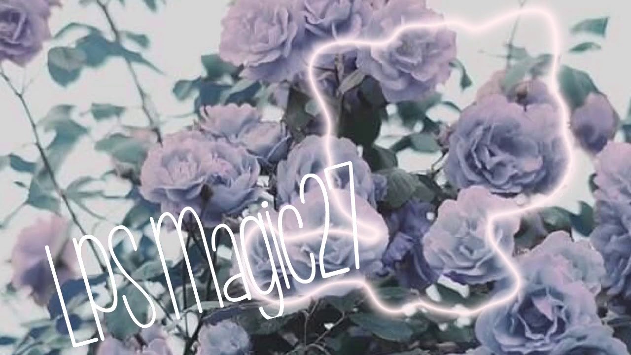 Intro con entry for LPS Magic 27! ^^ - YouTube