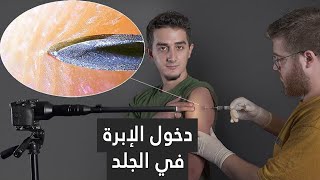 مستلزمات يومية تحت المجهر (اختبار كاميرا التكبير 1000 مرة)