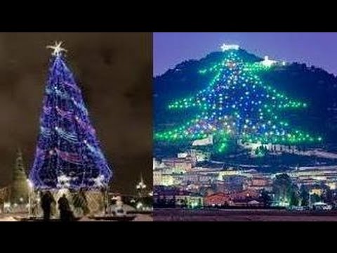 Pohon Pohan Natal Terindah di Dunia YouTube