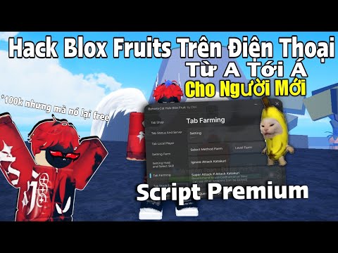 Cách Cài Đặt Hack ROBLOX VNG Blox Fruits Trên Điện Thoại – Nhận Key Banana Hub Premium Miễn Phí 100% Thật