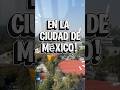 #mexico #adventure #fyp