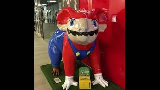 Mario,Luigi,wario,waluigi,wawario and wawaluigi