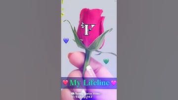 #H❣️Letter Name Status❤️||Name art Video😍||Whatsapp status💘||2023#art@sunnystatusvideo6345