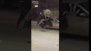 Wa Vid 20191219 8B4C56De