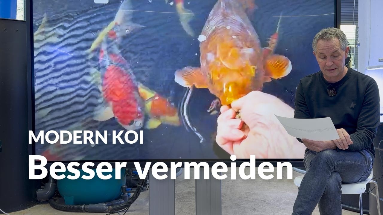 Darf meine Pumpe Luft ansaugen ? | Modern Koi Blog #8030
