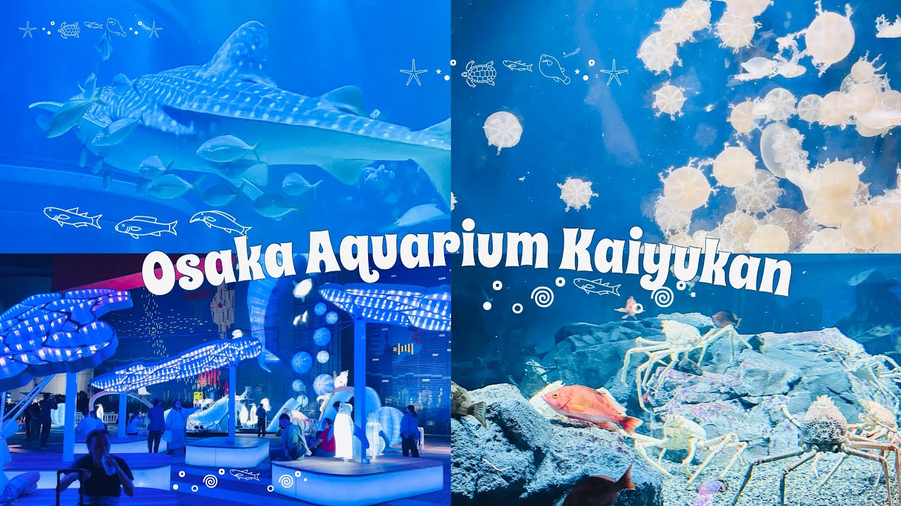 🐟 relaxing day at Osaka aquarium kaiyukan 🫧 part 3.5 vlog