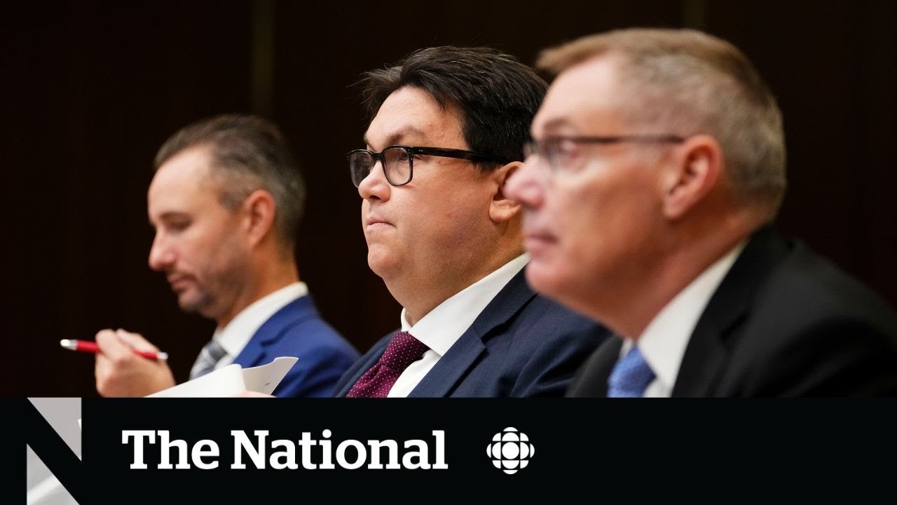 Airline Executives Grilled By MPs Over Holiday Travel Chaos YouTube