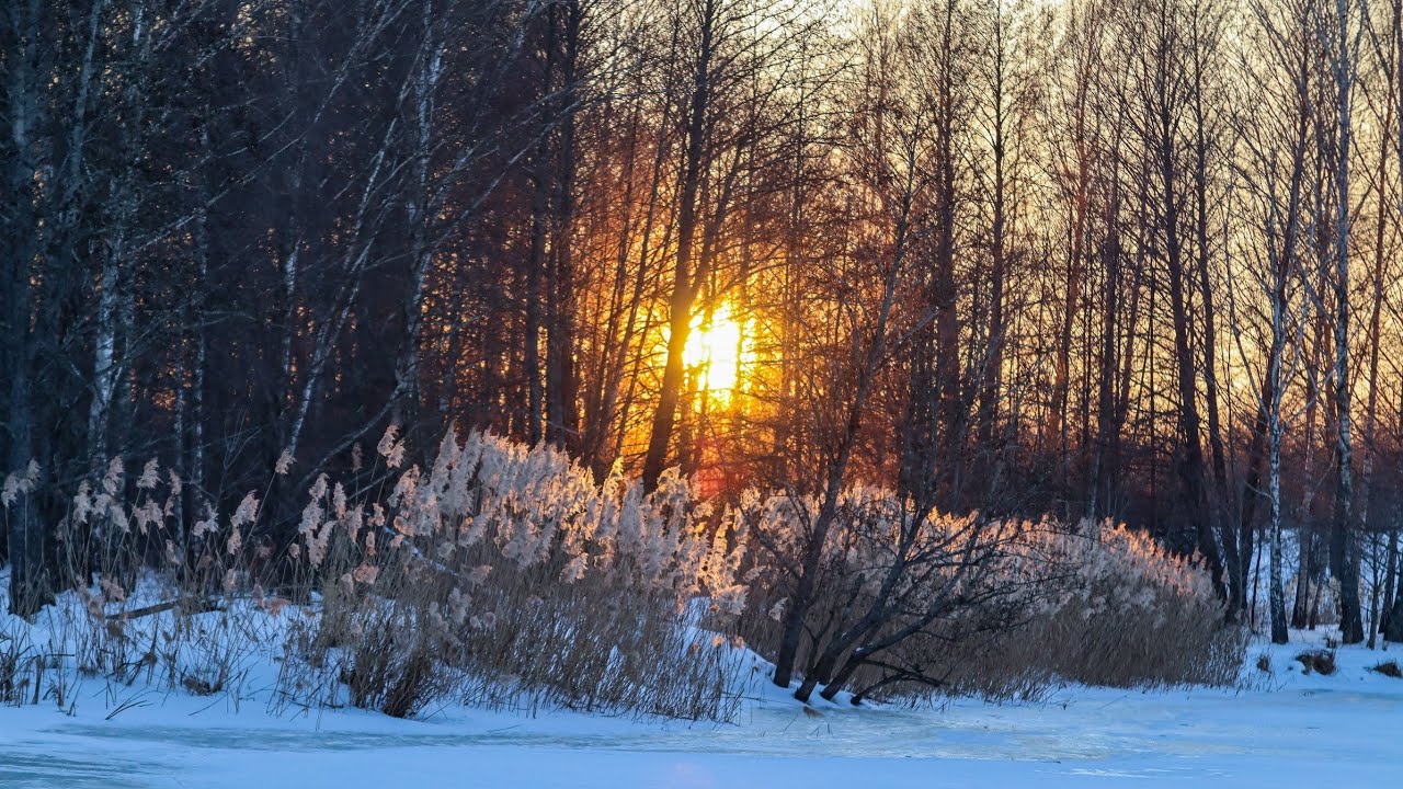 День бігали за Кілограмовими карасями,а справжнє Золото було під Ногами.Річка Уж