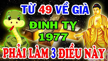 Bí Ẩn Trời Định: Vận Mệnh Đinh Tỵ 1977, Từ 49 Tuổi Lộc Trời Rơi Tận Cửa Về Già Giàu Nứt Đố Đổ Vách