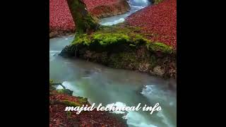 𝓶𝓪𝓳𝓲𝓭 𝓽𝓮𝓬𝓱𝓷𝓲𝓬𝓪𝓵 𝓲𝓷𝓯𝓸