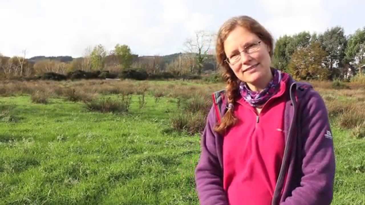 Arran Community Land Initiative Crowd Funding Pitch - YouTube