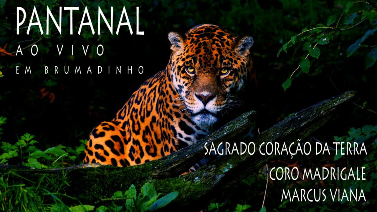 Pantanal (ao vivo) - Sagrado Coração da Terra, Marcus Viana e Côro Madrigale