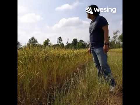 ทุ้มอยู่ในใจ(Acoustic) cover​