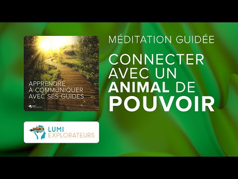 Méditation : Connecter avec un animal de pouvoir ou animal totem