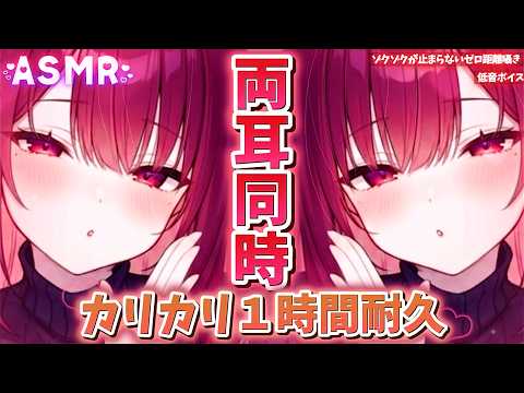 【ASMR】ｶﾘｶﾘッ♡両耳同時囁きで寝かしつけ♡🌙１時間耐久、癒しの安眠時間｜カリカリ｜耳かき｜ゼロ距離囁き【睡眠導入｜SR3D｜低音ボイス女子】