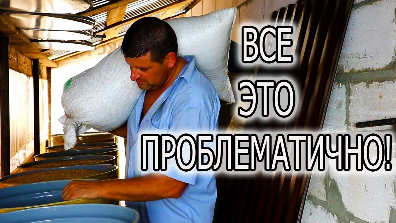 Фиат сколько весит
