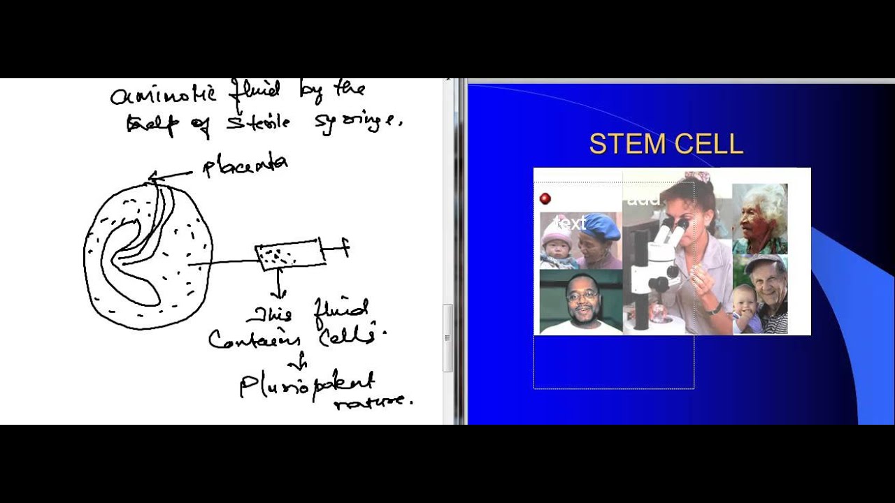 IXPOE Biology Video Lecture on Stem Cell