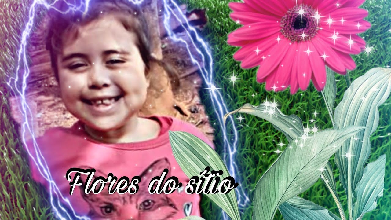 Flores do sítio- Lala a Bordo