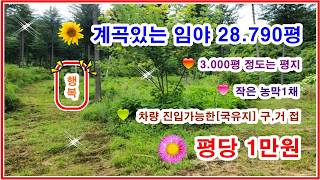 [Forest land with a beautiful valley] 28,790 pyeong, over 3,000 pyeong of flat land, vehicle acce...