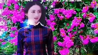 经典老歌《萍聚》-李翊君&李富兴（完整版）/（素材来源于网络）